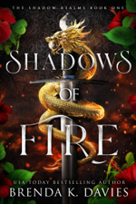 Shadows of Fire (The Shadow Realms, Book 1) - Brenda K. Davies Cover Art