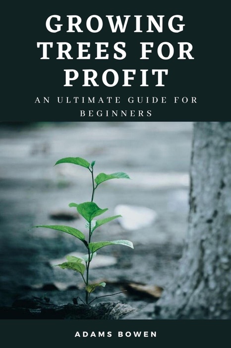 Growing Trees for Profit; An Ultimate Guide for Beginners