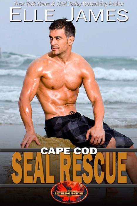 Cape Cod SEAL Rescue