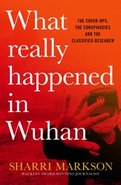 What Really Happened In Wuhan