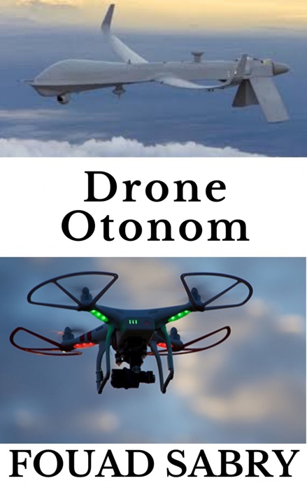 Drone Otonom