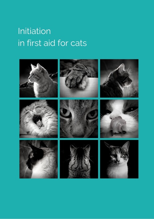 Initiation infirst aid for cats