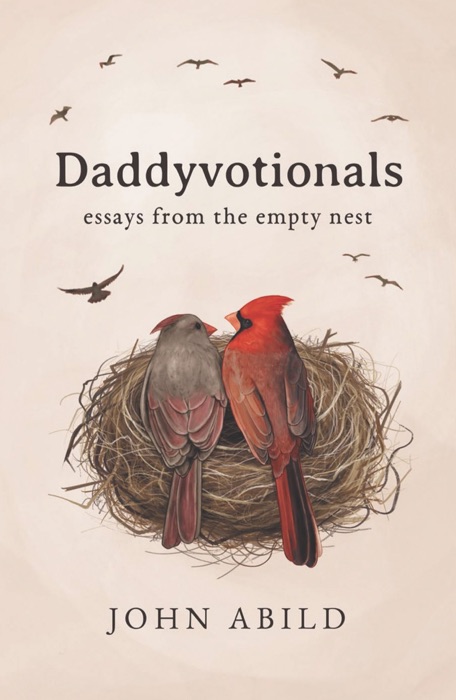 Daddyvotionals: essays from the empty nest