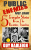 Public Enemies: 5 True Crime Gangster Stories from the Roaring Twenties - Guy Hadleigh