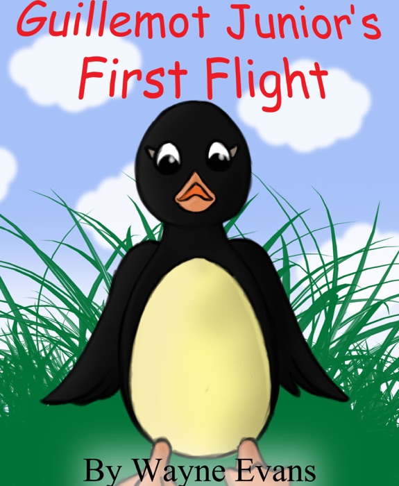 Guillemot Junior’s First Flight: A children's story with morals.