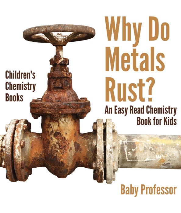 Why Do Metals Rust? An Easy Read Chemistry Book for Kids  Children's Chemistry Books