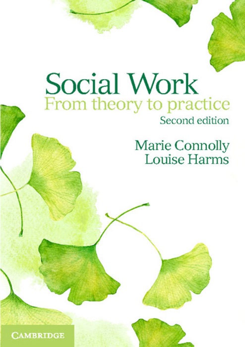 Social Work: Second Edition