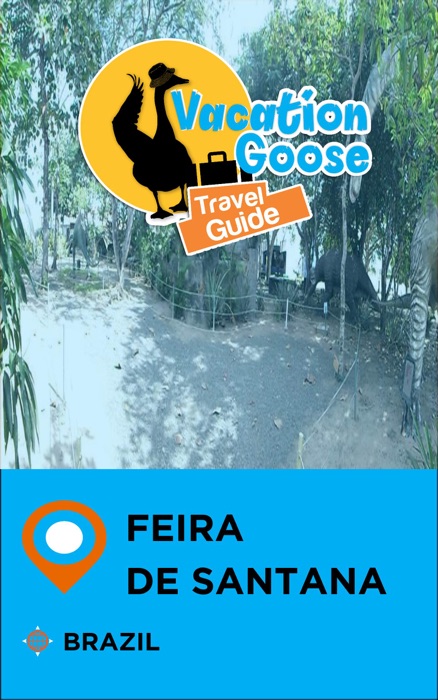 Vacation Goose Travel Guide Feira de Santana Brazil