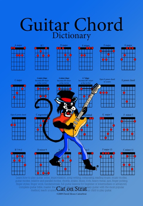 Cat on Strat Guitar Chord Dictionary