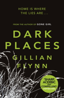 Gillian Flynn - Dark Places artwork