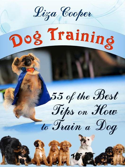 Dog Training: 55 of the Best Tips on How to Train a Dog