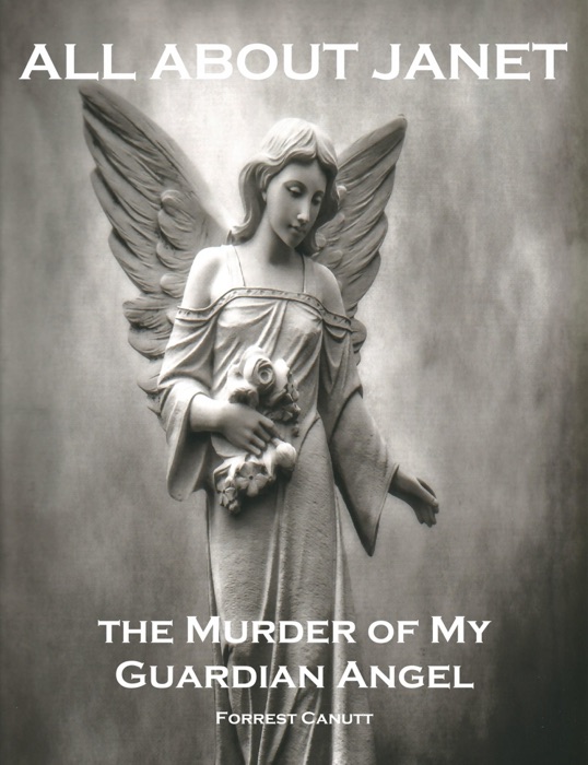 All About Janet, The Story of My Missing Babysitter