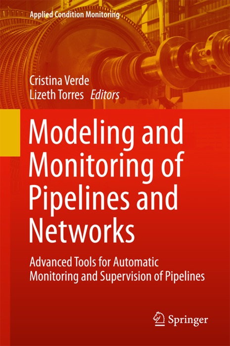 Modeling and Monitoring of Pipelines and Networks