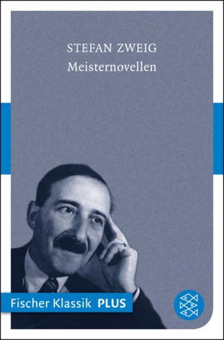 Meisternovellen