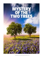 Mystery of the Two Trees