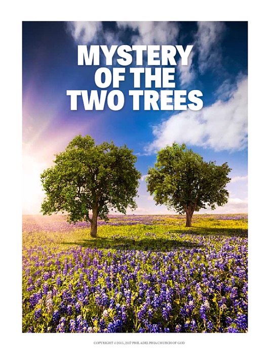 Mystery of the Two Trees