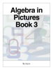 Algebra in Pictures  Book 3 - Joyce Hull