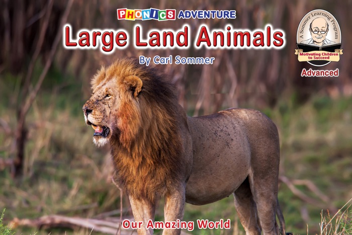 Large Land Animals