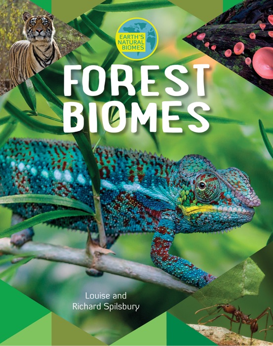 Forest Biomes