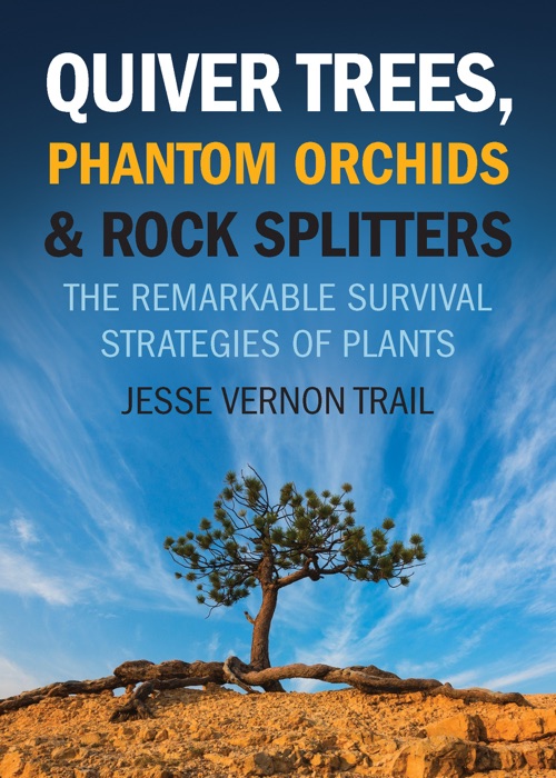 Quiver Trees, Phantom Orchids & Rock Splitters