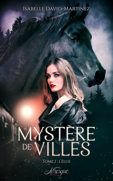 Mystère de Villes, tome 1