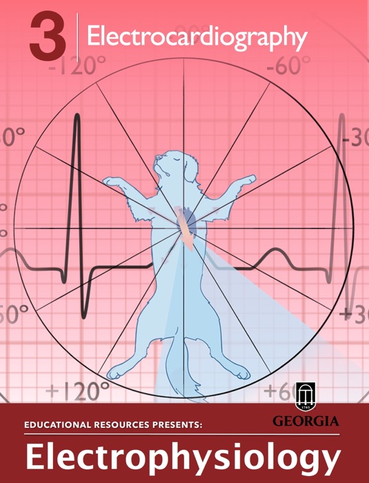Electrocardiography
