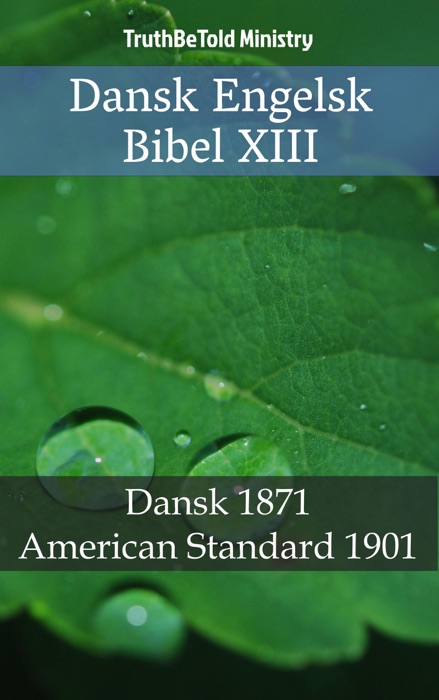 Dansk Engelsk Bibel XIII