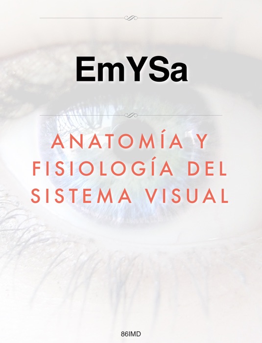 Anatomía y fisiología del sistema visual