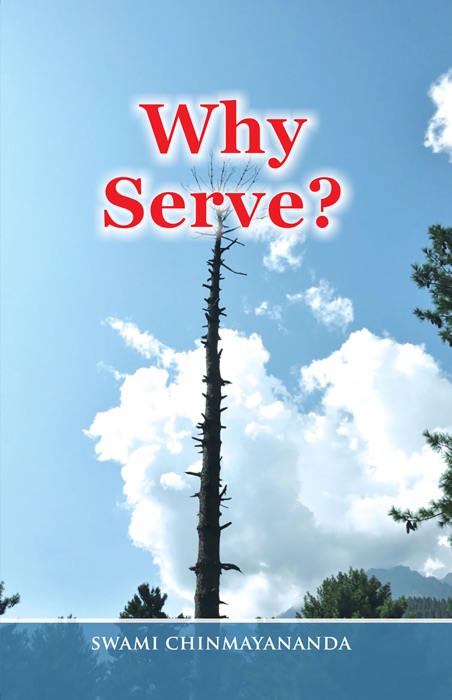Why Serve?