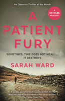 Sarah Ward - A Patient Fury artwork