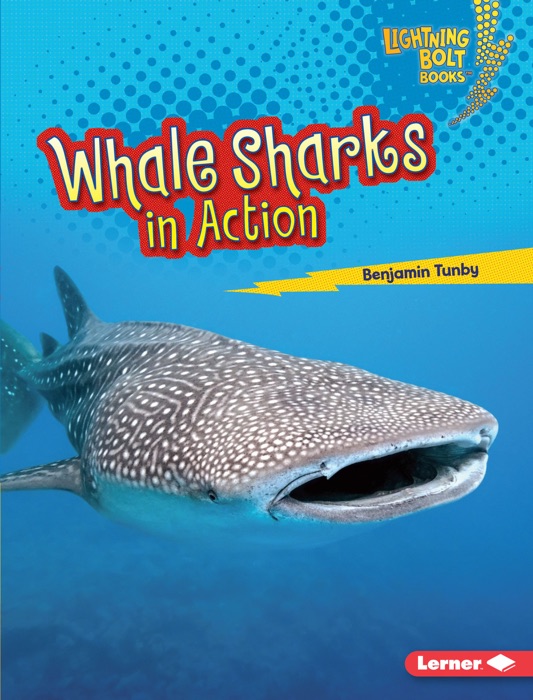 Whale Sharks in Action