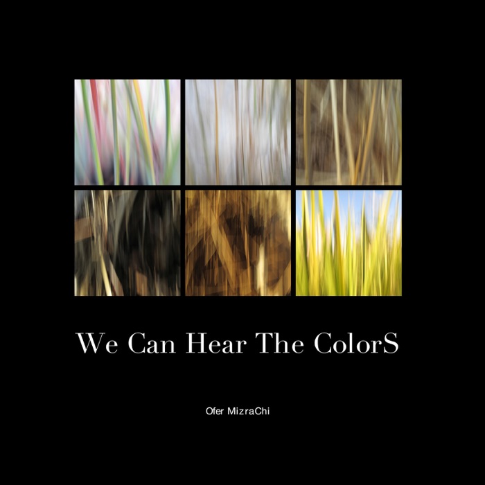 We Can Hear The ColorS
