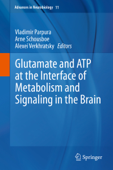 Glutamate and ATP at the Interface of Metabolism and Signaling in the Brain - Vladimir Parpura, Arne Schousboe & Alexei Verkhratsky