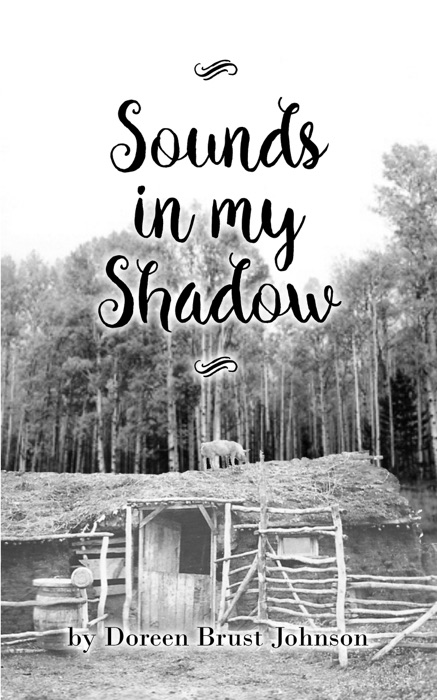 Sounds in my Shadow