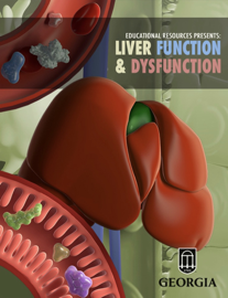 Liver Function & Dysfunction