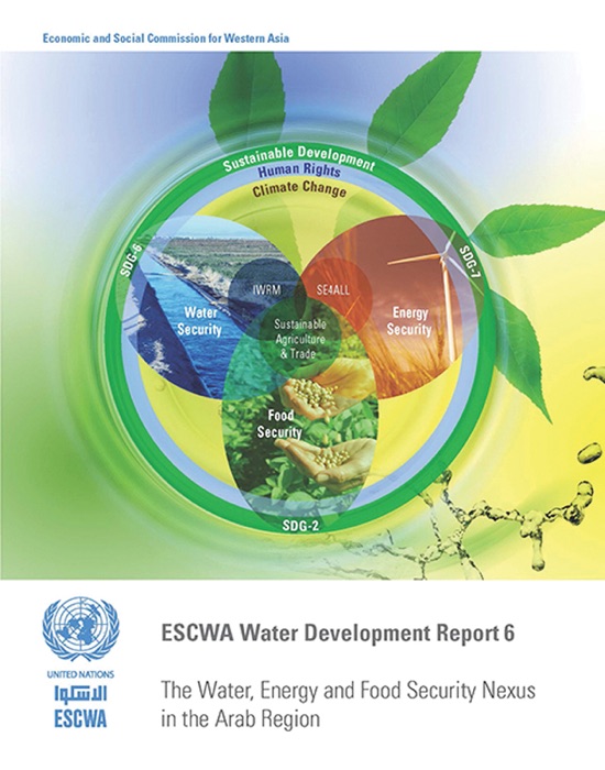 ESCWA Water Development Report 6
