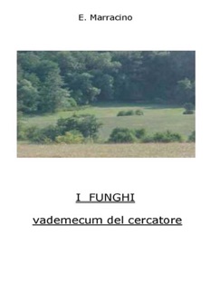I Funghi - vademecum del cercatore - Ermanno Marracino