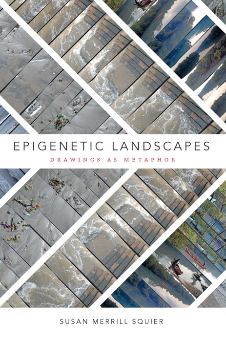 Epigenetic Landscapes