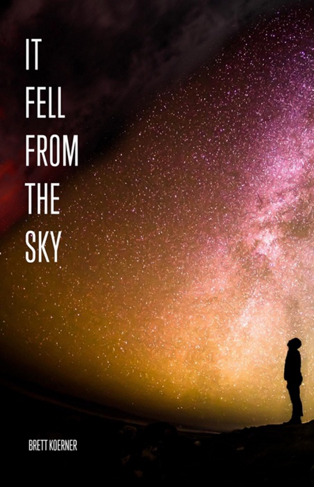 It Fell From the Sky