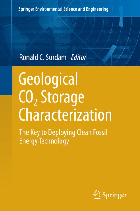 Geological CO2 Storage Characterization