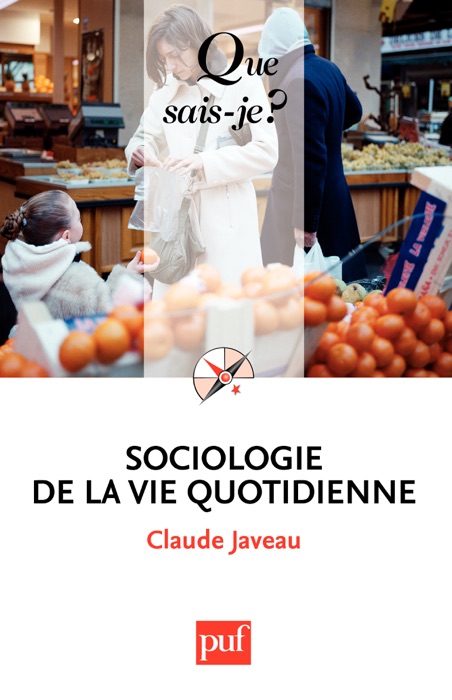 Sociologie de la vie quotidienne