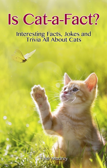 Is Cat-a-Fact?