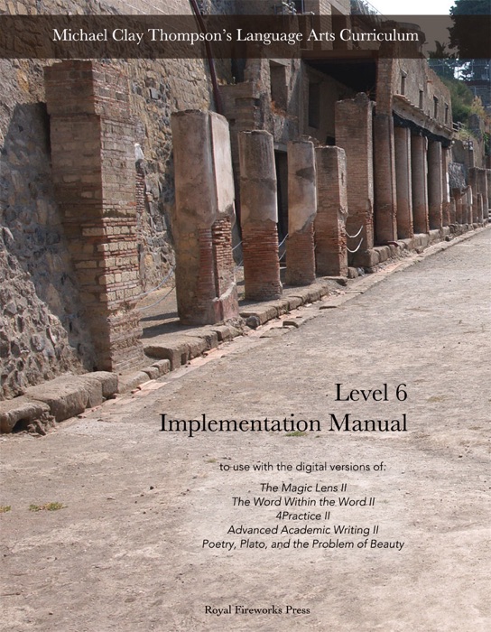 Level 6 Implementation Manual