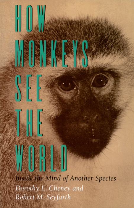 How Monkeys See the World