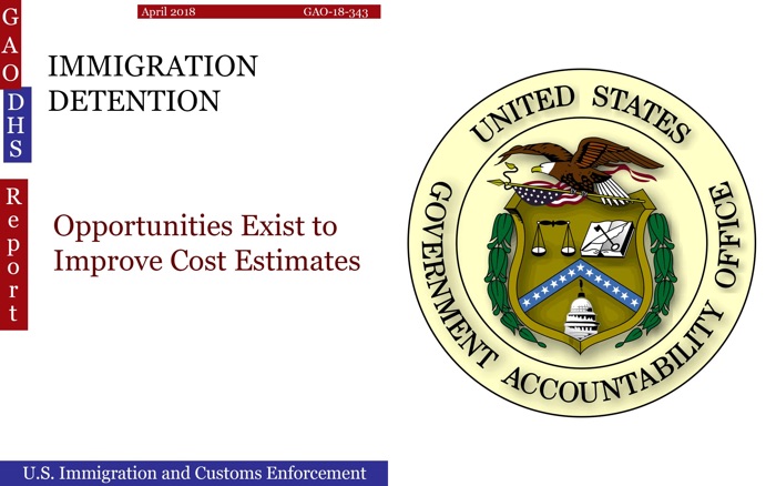 IMMIGRATION DETENTION