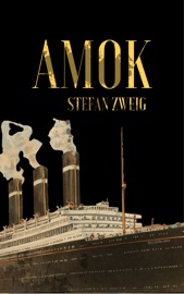 Book's Cover of Amok