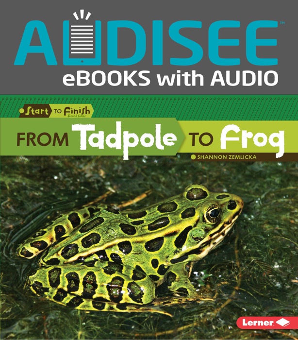 From Tadpole to Frog (Enhanced Edition)