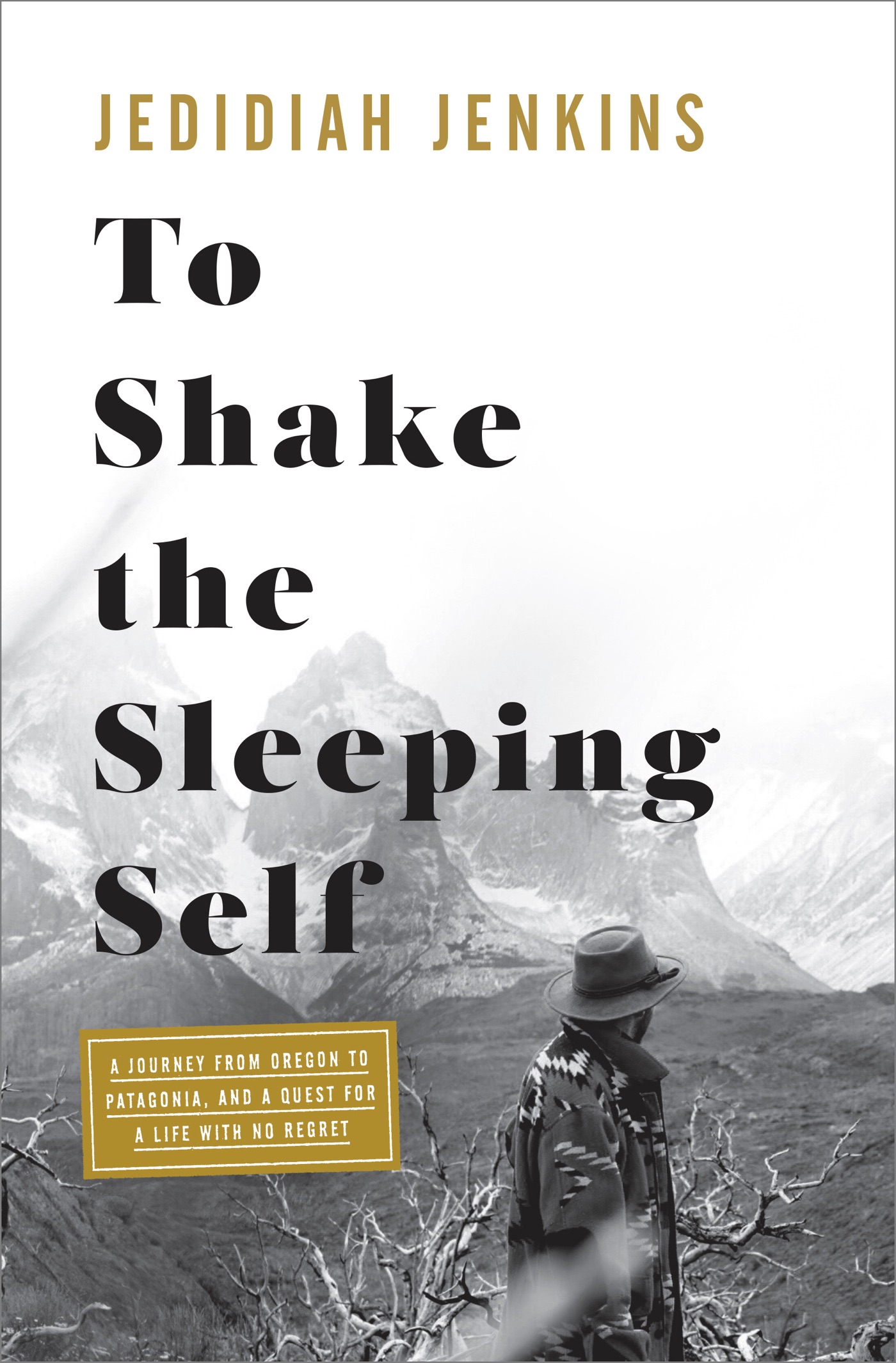 Book cover of "To Shake the Sleeping Self"