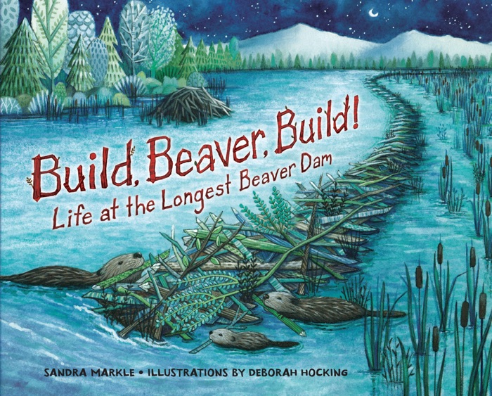 Build, Beaver, Build!