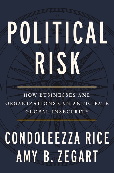 Political Risk